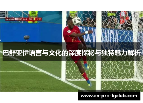 巴舒亚伊语言与文化的深度探秘与独特魅力解析