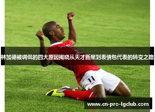 林加德被调侃的四大原因揭晓从天才新星到表情包代表的转变之路